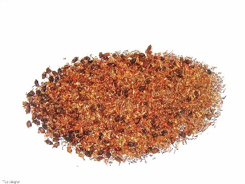Sanddorn Rooibos Tee 100g 30% Beeren Tee-Meyer