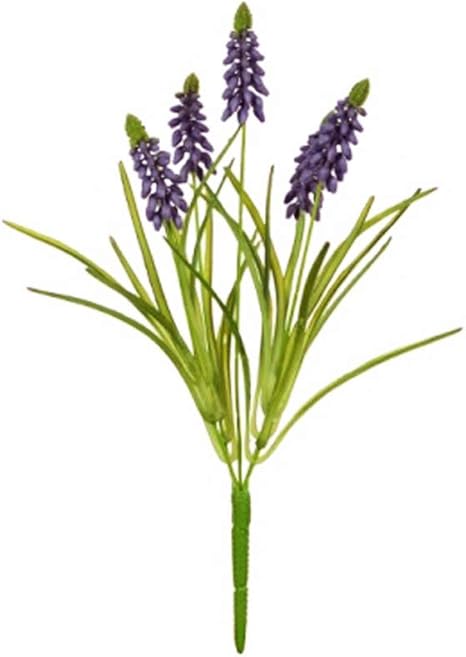 Amazon Floristrywarehouse ムスカリーまたはグレープヒヤシンスブッシュ 人工 5本の茎 12インチ パープル 造花 オンライン通販