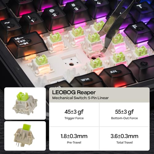 EPOMAKER X Aula F75 MAX Teclado Mecánico Inalámbrico con Pantalla TFT y Perilla, Teclado de Junta en Distribución 75%, Teclado Gaming Intercambiable en Caliente para PC/Mac/Linux (Matte Black)