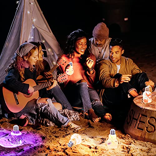 Resin Light Bulb Mold, Silicone Resin Molds 5 Pcs Including 2 Resin Casting Molds, 2 Rechargeable USB RGB Screw Base and 1 Charging Cable