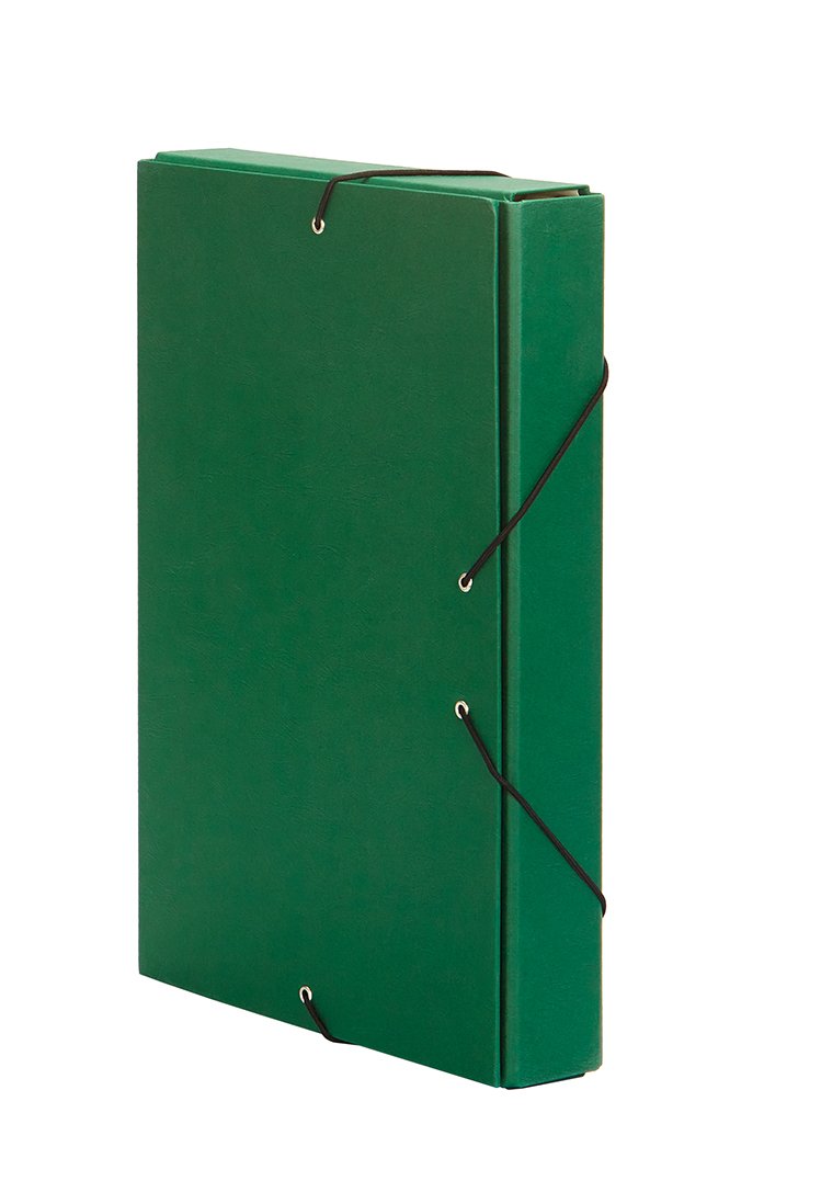 Pardo 965104 – Folder Projects Spine 50 Closure Elastic Bands, Green