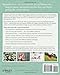 Mamarazzi: Every Mom's Guide to Photographing Kids