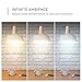 eufy by Anker, Lumos Smart Bulb - Tunable White, Soft White to Daylight (2700K-6500K), 9W, Works with Amazon Alexa, No Hub Required, Wi-Fi, 60W Equivalent, Dimmable LED Bulb, A19, E26, 800 Lumens