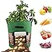 wang JESS Potato Grow Bag,2PCS 10 Gallons Dark Green Planting Grow Bags Window Vegetable Bags with Flap and Handles for All Vegetablethumb 1