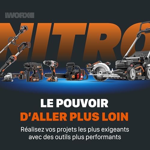 Souffleur Brushless sans Fil 20V WG543E.9