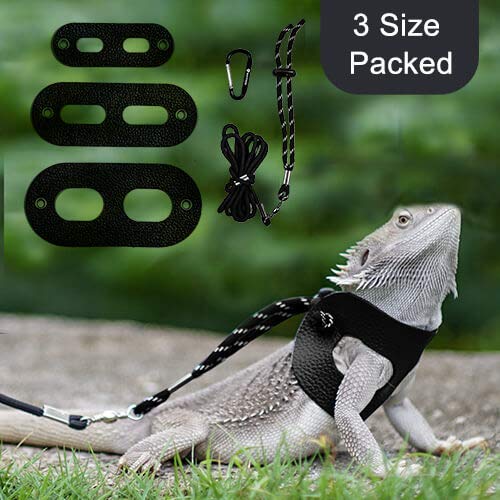 WATFOON Adjustable Bearded Dragon Harness Leash Pet-Friendly Leather Collar, 3 Pack (Different Size S, M, L) Reptile Lizard Leash for Reptiles Amphibians and Small Pet Animals, 5 Color Option (Black) - Thumbnail 7
