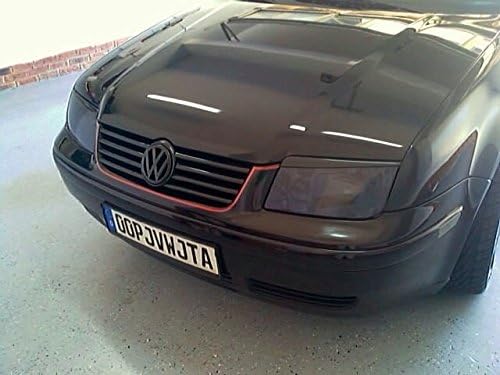 EYELIDS EYEBROWS LIGHT BROWS HEADLIGHTS TRIM COVER ABS