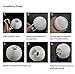 AveyLum Solar Lantern Warm White Outdoor String Lights 20 LEDs 16.4ft Waterproof Garden Fairy Lights for Yard Patio Path Christmas Halloween Wedding Lighting Decoration…