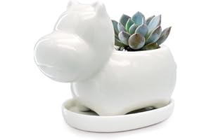 GeLive White Hippo Planter Mini Ceramic Succulent Plant Pot with Tray Saucer Decorative Flower Vase Fun Animal Decor (White)