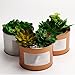 SOTOGO 14 Pack Artificial Succulent Plants Unpotted Fake Succulents