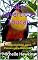 Livro Fatos Divertidos Toucan: Fatos Divertidos sobre Pássaros para Crianças #16