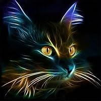 EOBROMD 5D DIY Diamond Painting, Full Drill Paint with Diamonds Embroidery Accessories Wall Sticker for Wall Decor - Cat in The Dark (12 x 12inch)