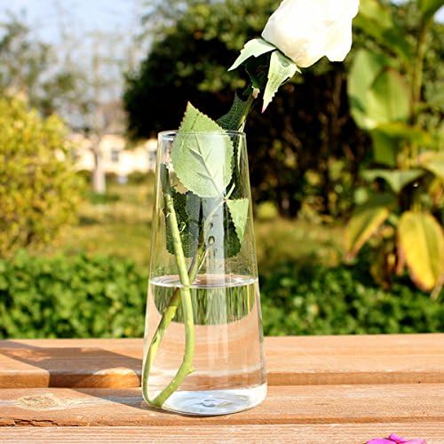 Cilindro Forma Plantas hidropónico Jarrón botella de cristal casa ...
