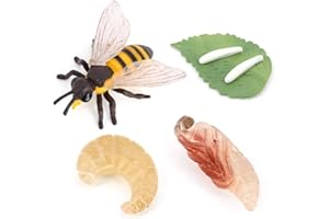 Hvogvok Bee Growth Cycle, Animal Growth Cycle Biological Model, Growth Stage Lifelike Bee Life Cycle Model Set for Kids Education Insect Themed Party Favors