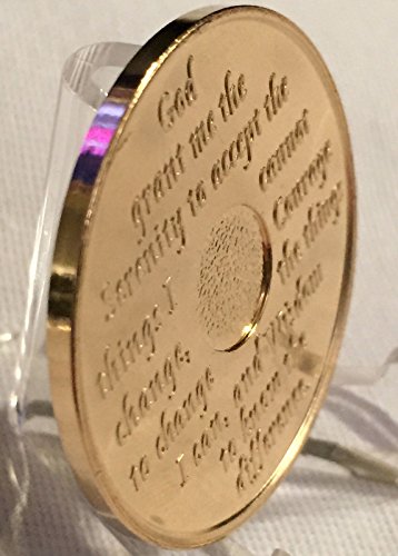 1 Year 24k Gold Plated AA Medallion Anniversary Chip