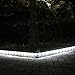 LTE 33ft 100 LED Solar Rope Lights, Outdoor Waterproof Solar Rope Lights, Ideal for Decorations,Christmas,Gardens, Lawn, Patio, Weddings, Parties.(Daylight White)
