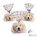 Fun Express Doggy Bag Cellophane Bags - Gift Wrap Cellophane Bags - 5