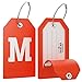 Shacke Initial Luggage Tag with Full Privacy Cover and Stainless Steel Loop – (Letter M)