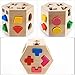Darius 15 Holes Hexagonal Intelligence Box Shape Matching Blocks