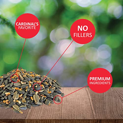 Lyric Cardinal Wild Bird Seed Sunflower & Safflower Premium Bird Food