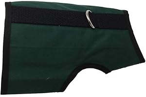 Kitty Holster Cat Harness - Cat Walking Harness, Secure & Comfortable, Ultra-Strong Hook-and-Loop, Soft Breathable Cotton, Made in USA - Green, XS