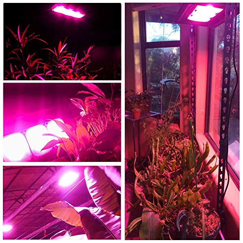 450W COB LED Grow Light, Relassy Outdoor Grow Lights Full Spectrum, Waterproof LED Grow Light Panel, LED Plant Grow Light for Seedling, Flowers, Veg, Natural Heat Dissipation, No Fans