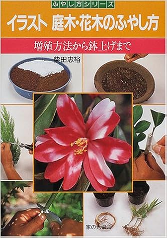 イラスト庭木 花木のふやし方 増殖方法から鉢上げまで ふやし方シリーズ Amazon Com Books イラスト庭木 花木のふやし方 増殖方法から鉢上げまで ふやし方シリーズ Amazon Com Books