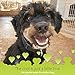 Pawrennial Glucosamine for Dogs - 140 Soft Chews Treats - Natural & Organic Hip and Joint Supplement for Dogs, Glucosamine Chondroitin for Dogs, MSM Turmeric & Hemp Seed Virgin Oil Omega 3-6