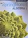 SpringBoard Algebra 1, Common Core Edition, Consumable Student Edition