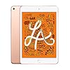 2019-Apple-iPad-mini-79-inch-WiFi-Cellular-256GB-Gold-5th-Generation Apple 2019 iPad mini (7.9-inch, Wi‑Fi + Cellular, 256GB) - Gold (5th Generation)
