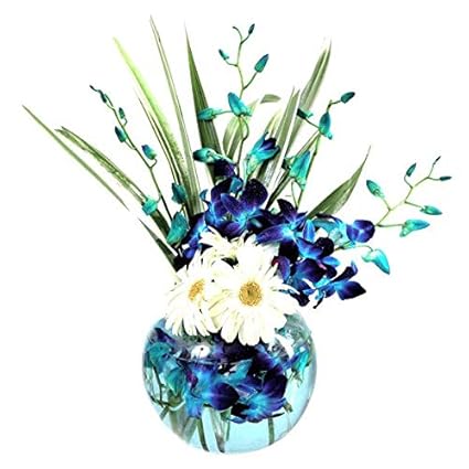 FloraZone Fresh Flowers Orchid n Gerberas Glass vase Arrangement Same Day Delivery