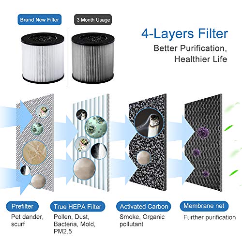 Jese Air Purifier for Allergies and Pets with 4-in-1 HEPA Filter, Mini Desktop Air Purifier Dust Odor Allergens Smoke Eliminator, Air Cleaner for Home, Air Filter for Office, Small Rooms - Thumbnail 2