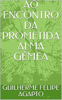 Livro AO ENCONTRO DA PROMETIDA ALMA GÊMEA