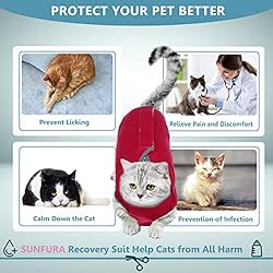 SUNFURA Cat Recovery Suit for Abdominal Wounds Spay