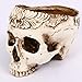 Halloween Easter Day Festival Party Show Celebration Prop Bar Decoration Cos Cosplay Hollow Brain Skull Pots Fruit Plate Storage Tank Head Beautifully Carved Resin