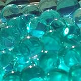 Turquoise Water Pearls