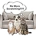 JASIWAY 6 Pcs Cat Furniture Protector, Clear Self-Adhesive Cat Scratch Deterrent Tape Pet Scratch Guards with Pins for Furniture,Sofa Couch,Wall, Mattress, Car Seat, Door