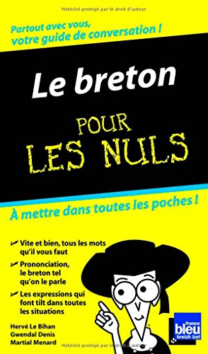 Le  breton pour les nuls
