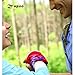 Zupoo 1/4/6PCS 16-in-1 Multifunctional Headband Sports Magic Scarf,Face Sun Mask,Neck Gaiter,Balaclava Headwear,Bandana,for Hiking, Running,Cycling,Yoga,Fishing,Hunting,Skiing
