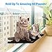 isYoung Cat Window Perch, Mounted Cat Sunshine seat Pet Hammock Kitty Bed Perch Cushion with 4 Ultra Heavy Duty Suction Cups Cat Bed Holds Up to 60lbs