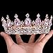 Stuff Crystal Crown Bridal Tiaras Prom Party Wedding Bridesmaid Hair Piece with Bobby Pins (Gold/Pink)