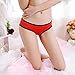 Goddessvan Women Sexy Open Crotch Panties Nylon Babydoll G-String Lingerie (Free Size, Red)