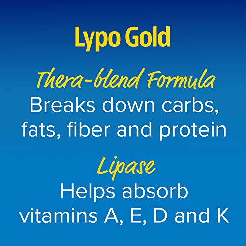 Enzymedica Lypo Gold, Concentrated Amounts of Lipase Enzyme, For Fatty Food Digestion, 120 Capsules (120 Servings)