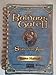 Baldurs Gate II Shadows Of Amn Game manual