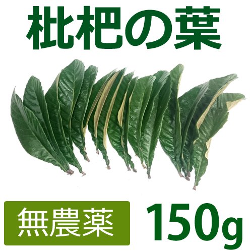 無農薬 枇杷の葉(びわの葉) 150g