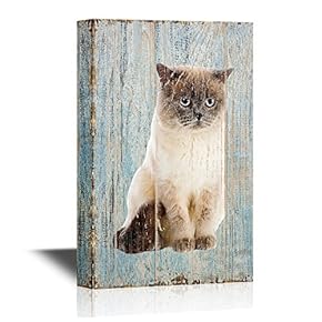 Cats Cat on Wood Style Background
