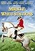 Miracle of the White Stallions