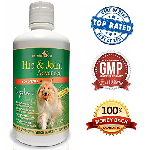 Concentrated Liquid Glucosamine for Dogs ? Advanced Hip and Joint