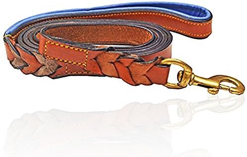 PetsUp Padded Leather Dog Collars and Leashes (Royal Leash- Tan\Blue, Large)