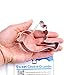 Sweet Cookie Crumbs Twitter Bird Cookie Cutter- Stainless Steel